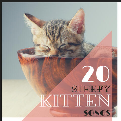 20 Sleepy Kitten Songs - Music to Help Your Small Cat Relax and go to Sleep