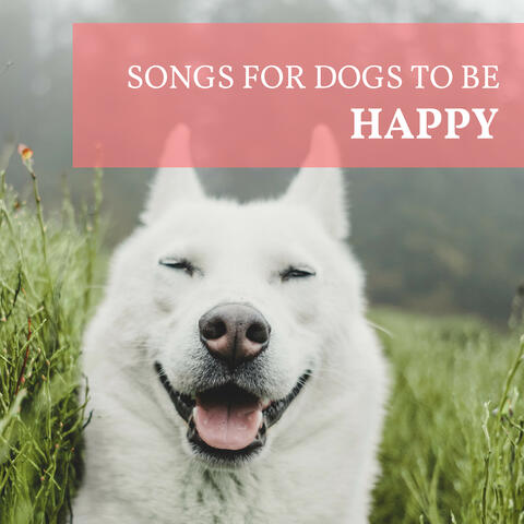 Songs for Dogs to be Happy - Calm Down Nervous Dogs, Relieve Anxiety & Stress from Separation