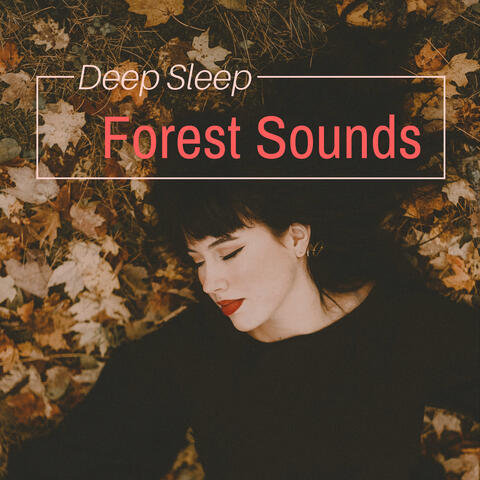Deep Sleep Forest Sounds - Dreamy Night Music for Relaxation