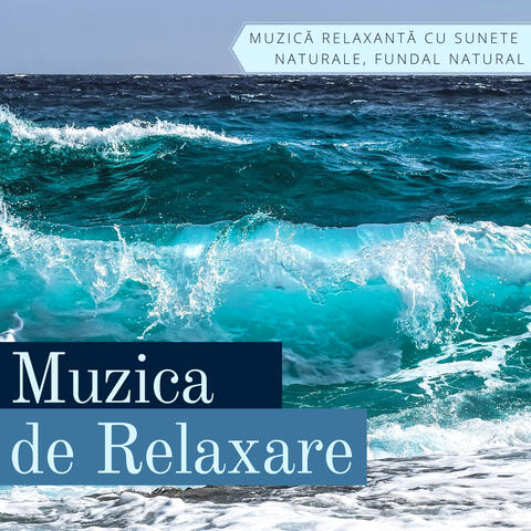 Muzica de Relaxare - Muzică Relaxantă cu Sunete Naturale, Fundal Natural