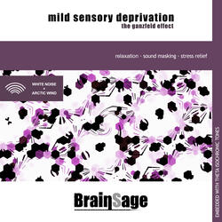 Mild Sensory Deprivation: The Ganzfeld Effect