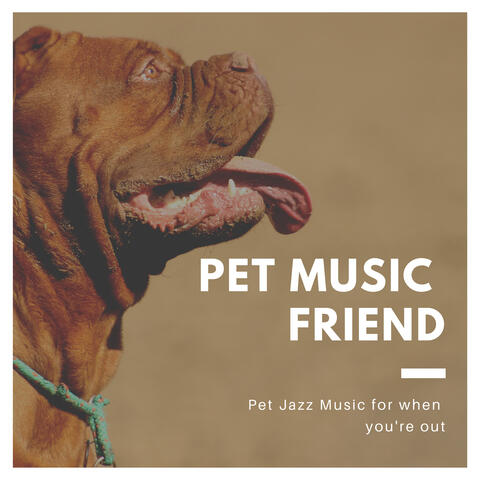Pet Music Friend