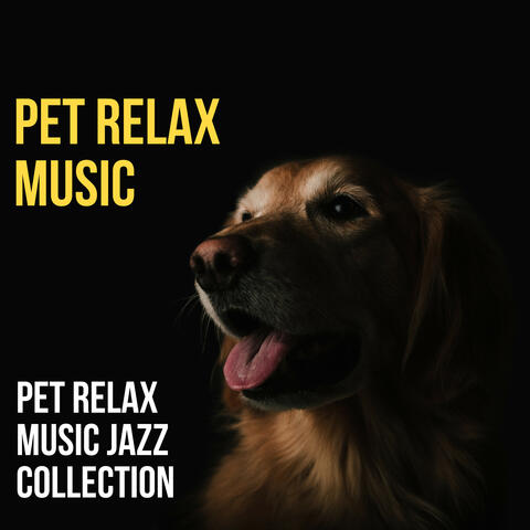 Pet Relax Music Jazz Collection