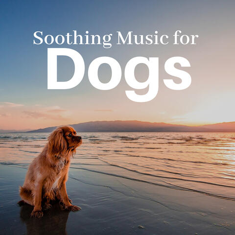 Soothing Music for Dogs CD - Puppy & Dog Relaxation Songs for Separation Anxiety