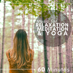 Meditation & Yoga