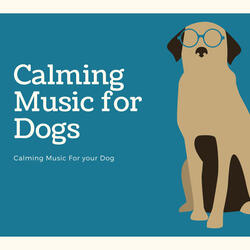 Calming Music for Your Dog
