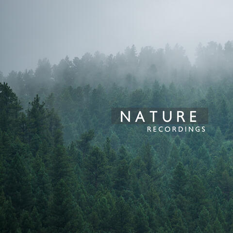 Nature Recordings – Calming Sounds for Sleep, Relaxation, Inner Harmony, Nature Sounds for Reduce Stress, Deep Meditation, Nature Music