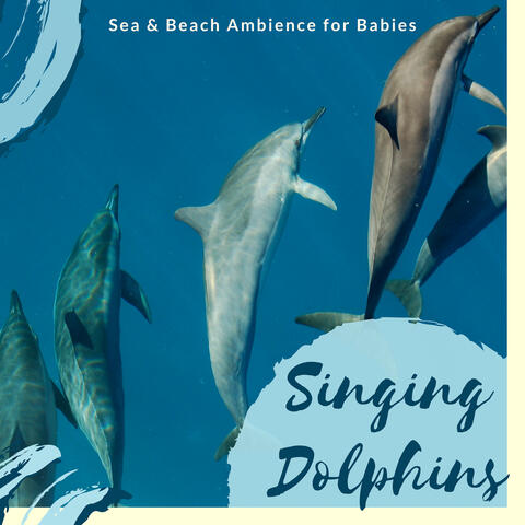 Singing Dolphins - Sea & Beach Ambience for Babies