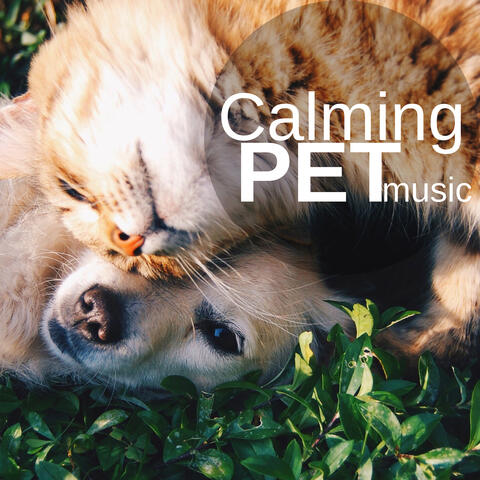 Calming Pet Music: Soothing Music Collection for Cats & Dogs