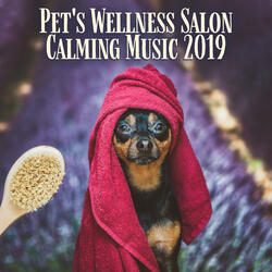 Pet Therapy