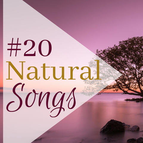 #20 Natural Songs - Spa Music Collection