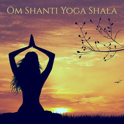 Vibrations - Vinyasa Yoga