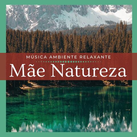 Mãe Natureza 2019 - Música Ambiente Relaxante com o Canto dos Pássaros e da Floresta