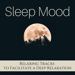 Sleep Sounds