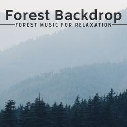 Forest Backdrop
