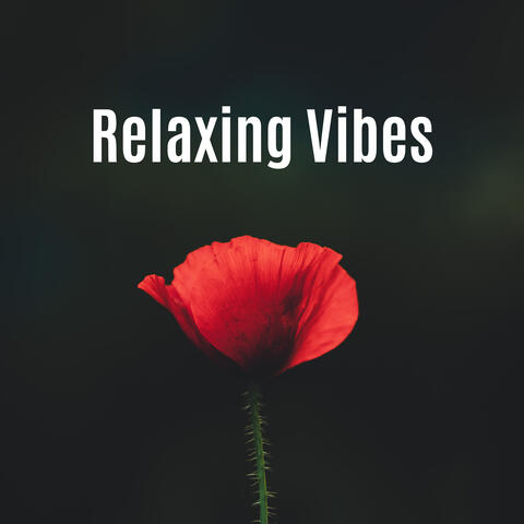 Relaxing Vibes: New Age Music to Calm Down, Ambient Music for Relaxation, Zen, Deep Meditation