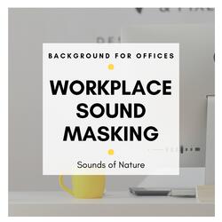 Focus on the Positive