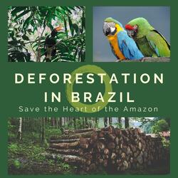 Tropical Rainforest (Nature Sounds)