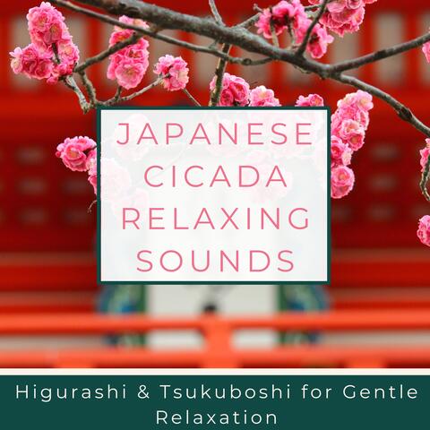 Japanese Cicada Relaxing Sounds - Higurashi & Tsukuboshi for Gentle Relaxation
