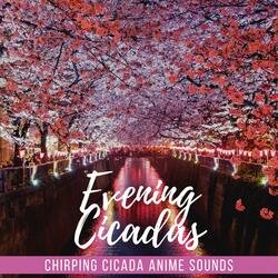 Chirping Cicada Anime Sounds