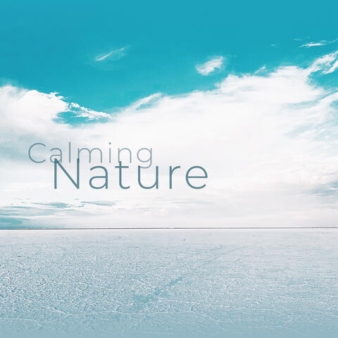 Calming Nature (Best Relaxation Music Compilation of 2019)
