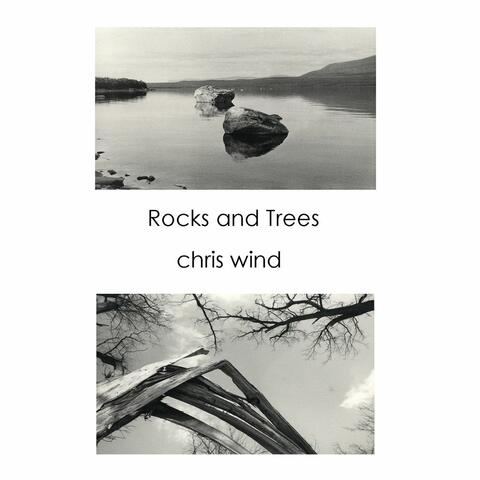 Rocks and Trees