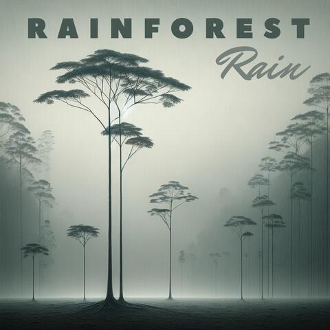Rainforest Rain: Relaxation and Soothing Collection of Nature Sounds
