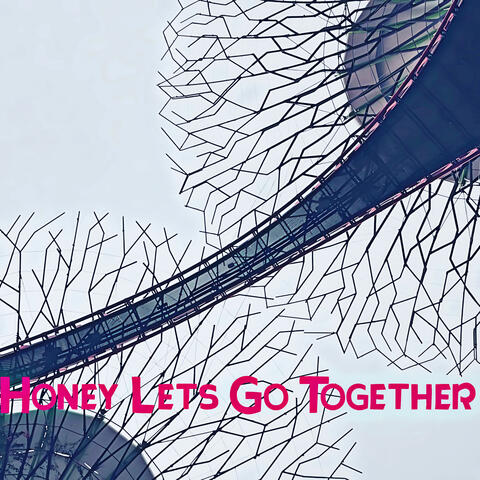 Honey Lets Go Together
