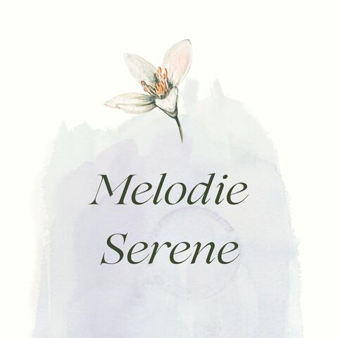 Melodie serene: musica new age per relax e meditazione profonda