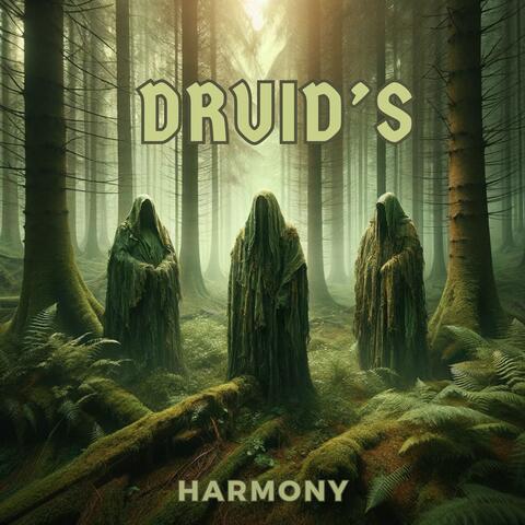 Druid's Harmony: Celtic Meditation Soundscapes