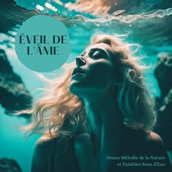 Douce symphonie des vagues