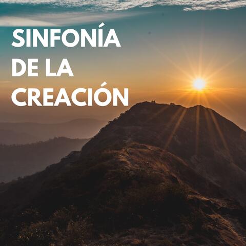 Sinfonía de la creación: Un concierto musical que celebra la belleza y la armonía del universo