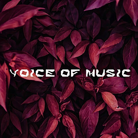 Voice Of Music