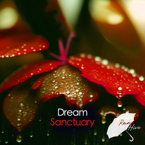 Dream Sanctuary