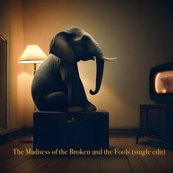 The Madness of the Broken and the Fools
