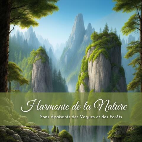 Harmonie de la Nature: Sons Apaisants du Vent, des Vagues et des Forêts