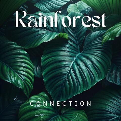 Rainforest Connection: Reconnecting with Nature's Rhythms and Energies