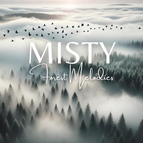 Misty Forest Melodies: Birdsongs in the Deep Woods