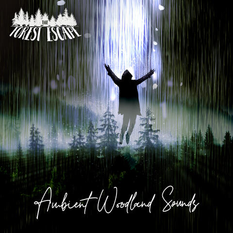 The Forest Escape