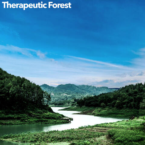 Therapeutic Forest
