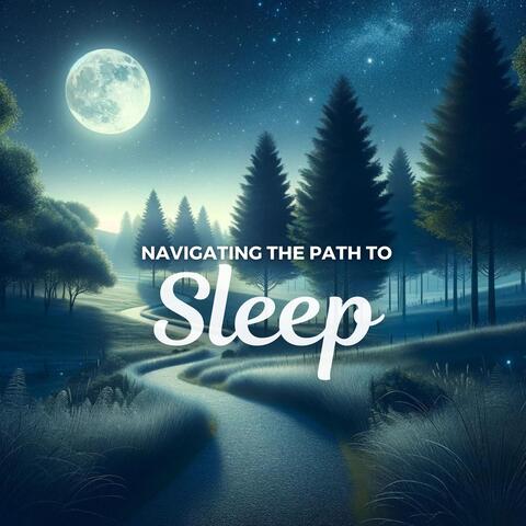 Navigating the Path to Sleep: Music to Calm Your Soul on a Restful Night