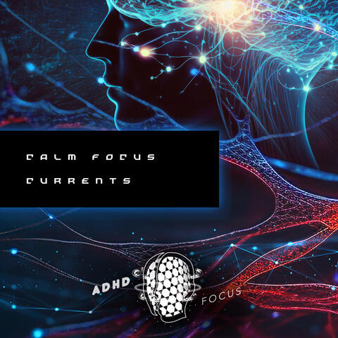 Calm Focus Currents