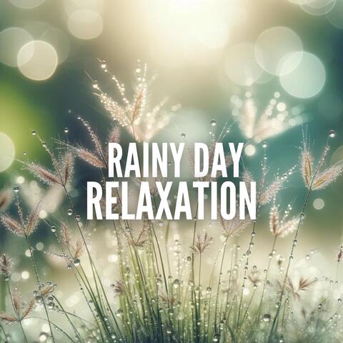 Rainy Day Relaxation: Soothing Raindrops for Spa, Falling Asleep, Insomnia Therapy, Meditation
