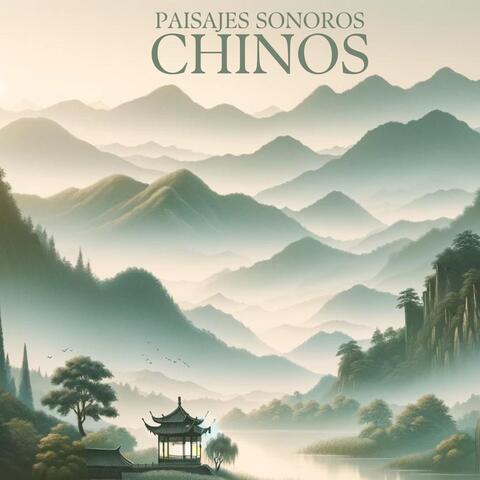 Chinese Yang Qin Relaxation Man