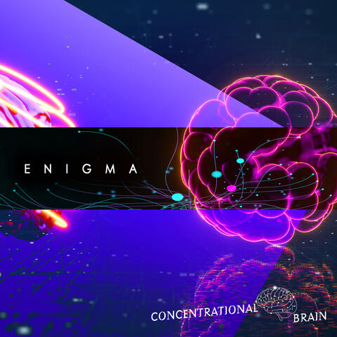 Enigma
