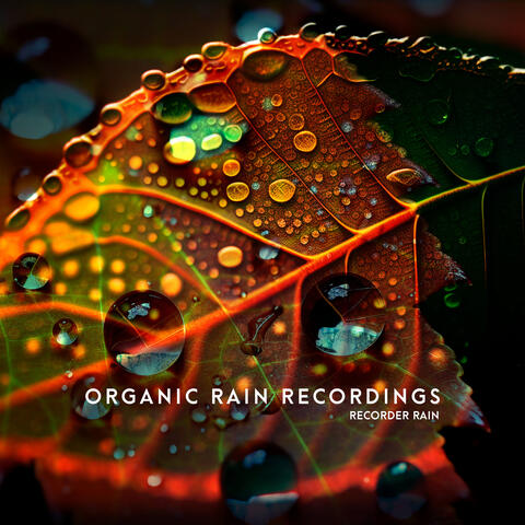 Organic Rain Recordings