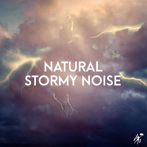 Natural Stormy Noise