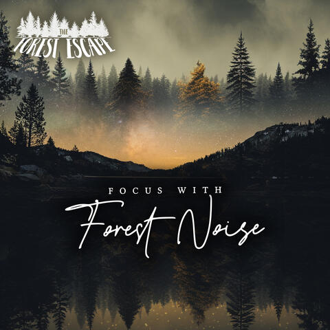 Focus With Forest Noise