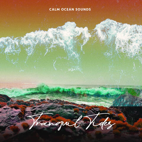 Calm Ocean Sounds