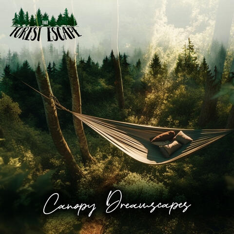 Canopy Dreamscapes